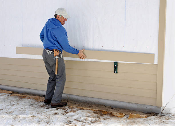 Best Stone Veneer Siding  in Hastings, MN